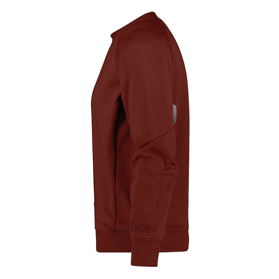 DASSY® ViVid® Sweatshirt Dolomiti 310g/m²